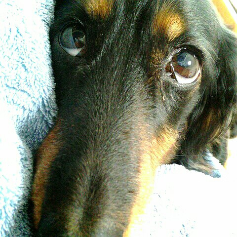 田中麻由美(金井)