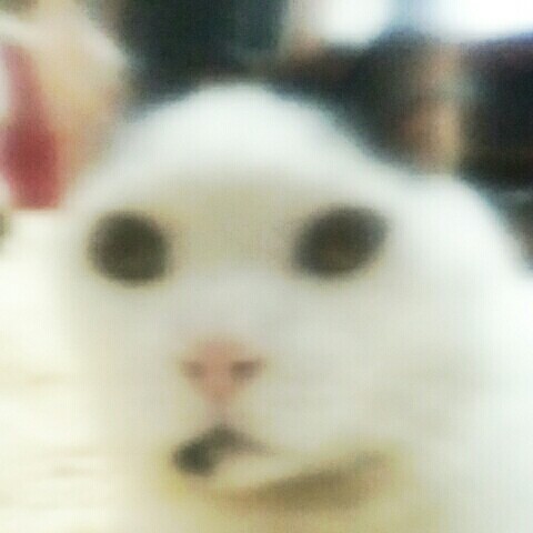 おさえ　ゆうの