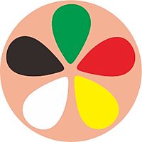 Show profile photo