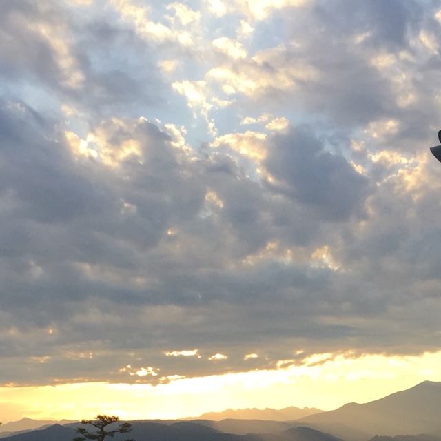 みか yoneカナイ