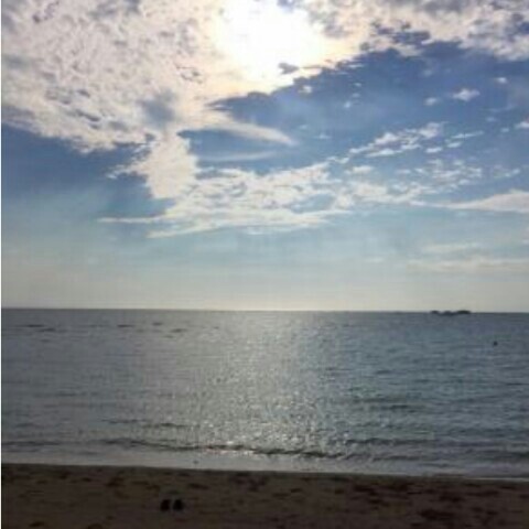 ながみね　るみこ