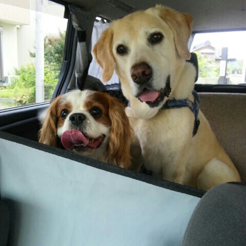 ひとみラスカル