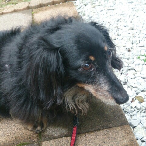 まちん(masami yamagami)