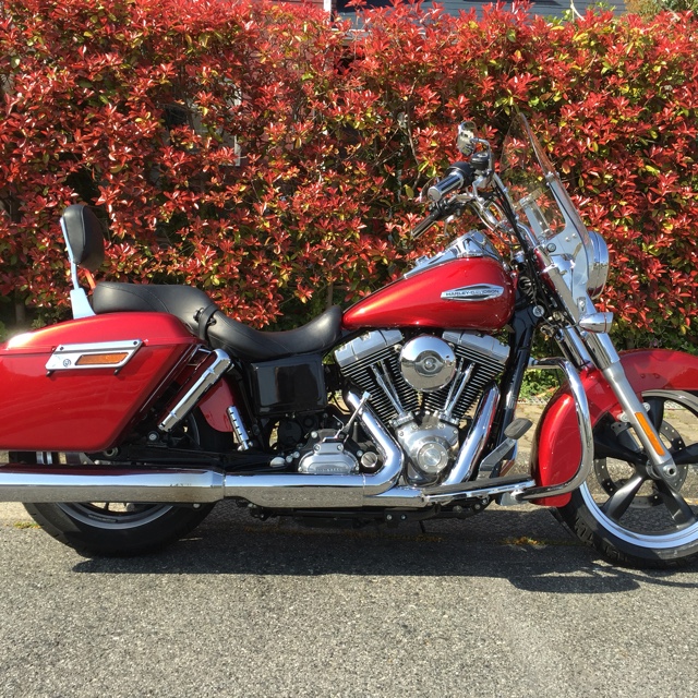 カントリーブレッド