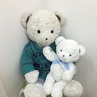 Show profile photo