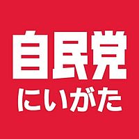 Show profile photo