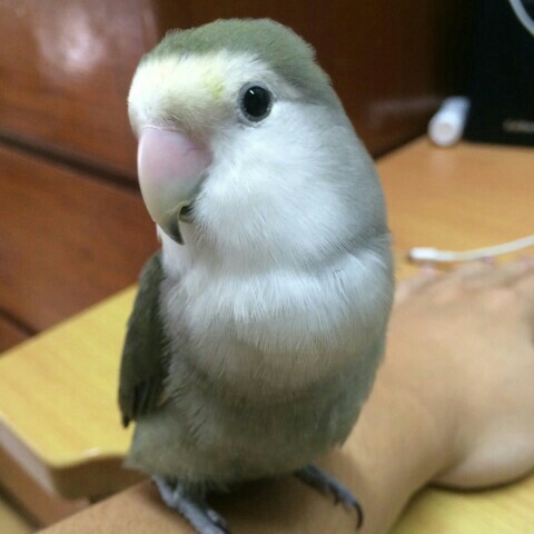 happy