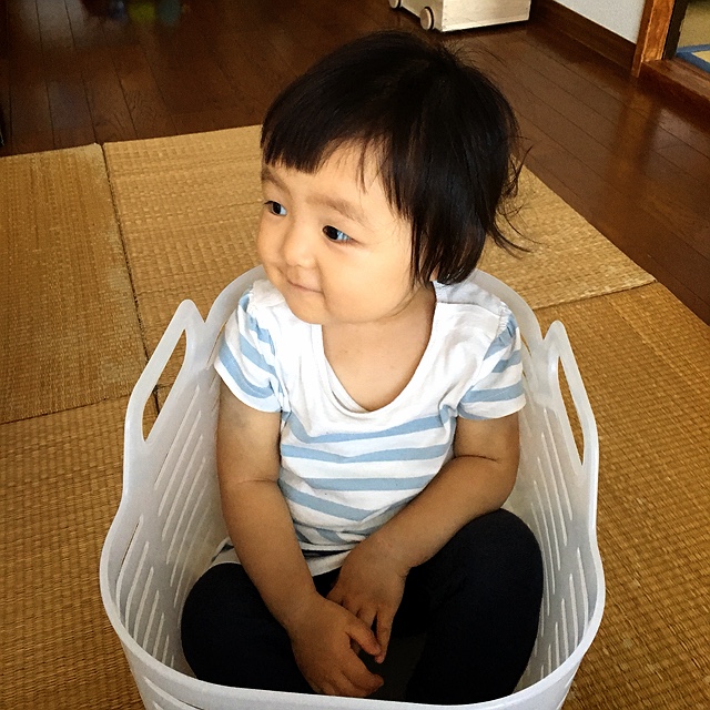 さかもとなおや