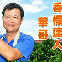 Show profile photo