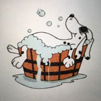 Show profile photo