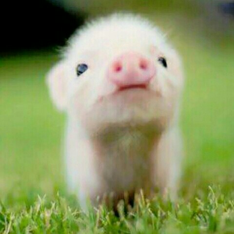 うみの　ゆうこ