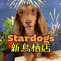 Show profile photo