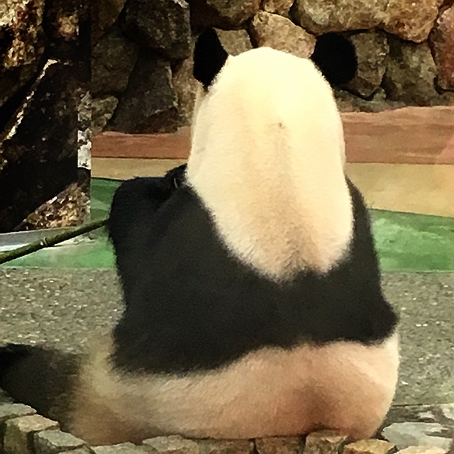 ちはる