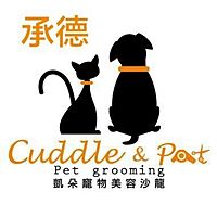 Show profile photo