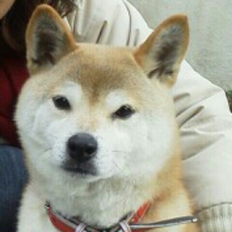 連水　MIYABARA  reiko