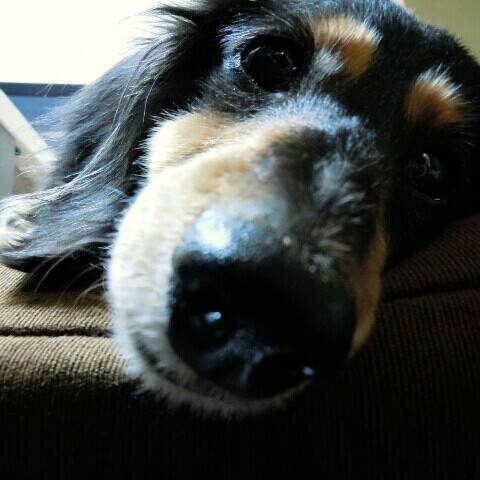 宮下木材  久山