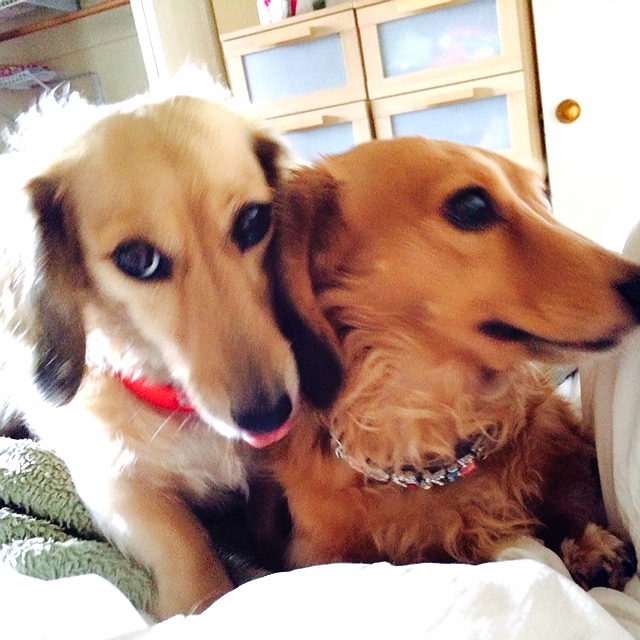 Vickie Huang的頭像