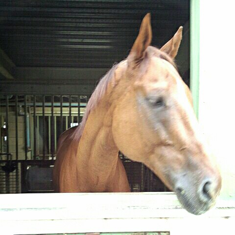 ますだてつろう