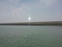 polo,文杰的頭像