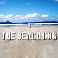 the Beach Dog