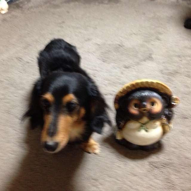 ねむねむまりまり