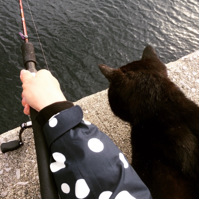 フルハシ jeronimo