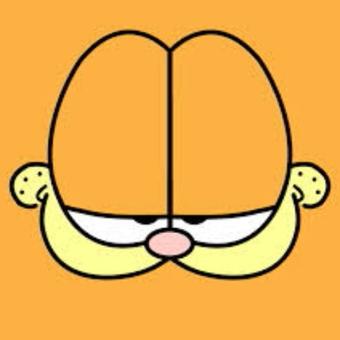 garfield的頭像