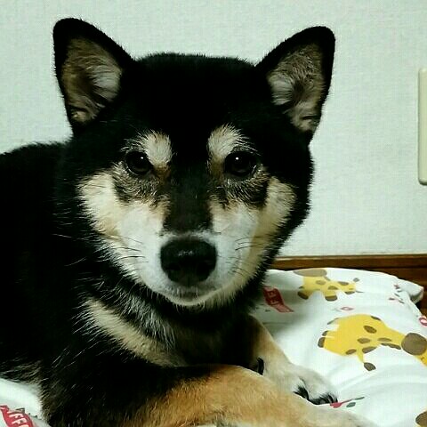 菅野恵子
