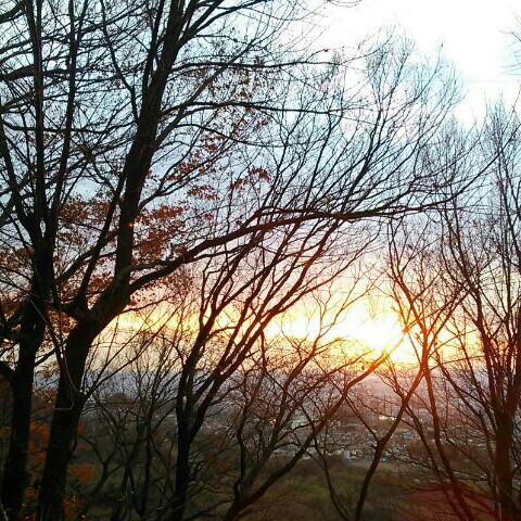 みやがわ　あけみ