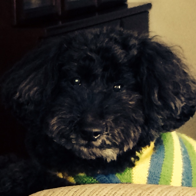 日体大総監督鈴木正保