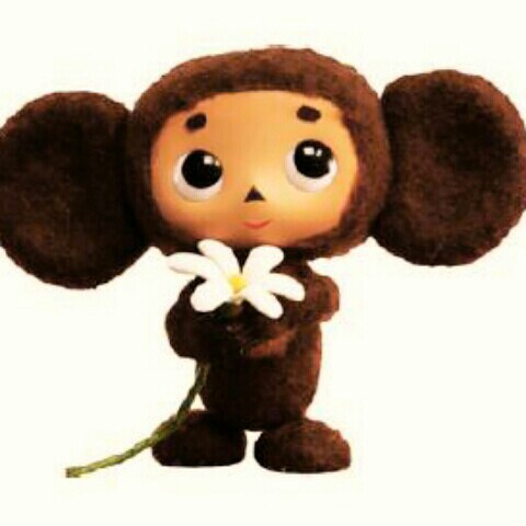 ほりきり みさと