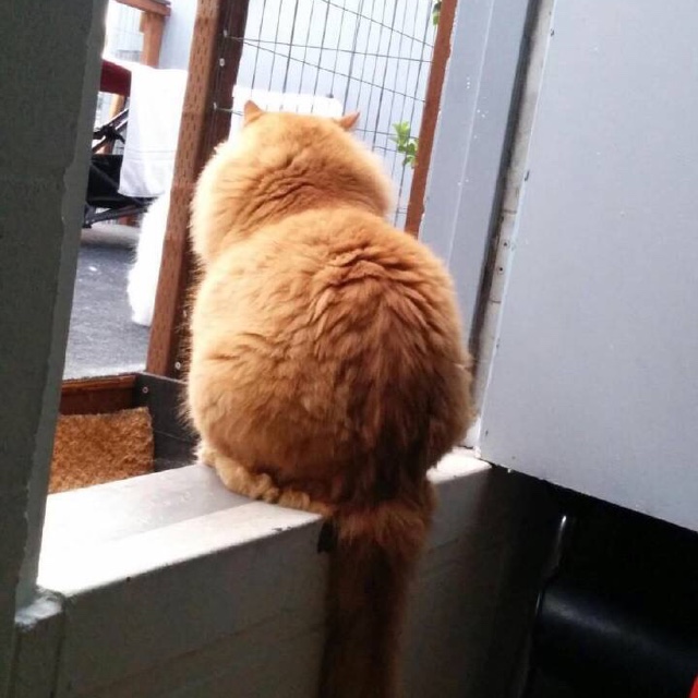株式会社　ミサキ
