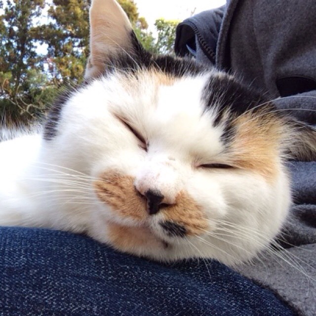 オバタ ヤスヒロ