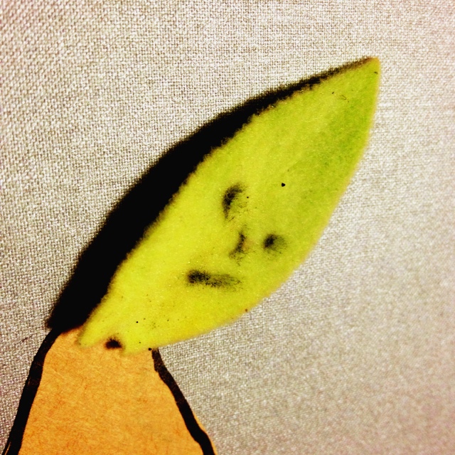 なが　は　　し