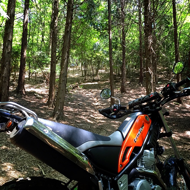 ユーザーの口コミ ホームセンターコーナン 岸和田三田店 ホームセンターコーナン キシワダミタテン 三田町 和泉中央駅 ホームセンター By Line Place