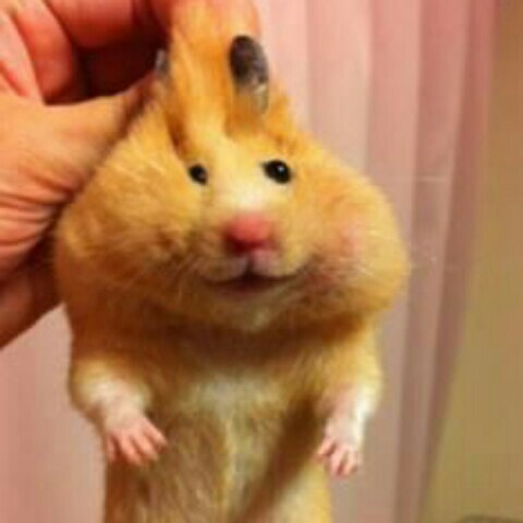 うみへい