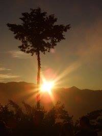 看看Yi-Kuan Huang的個人專頁