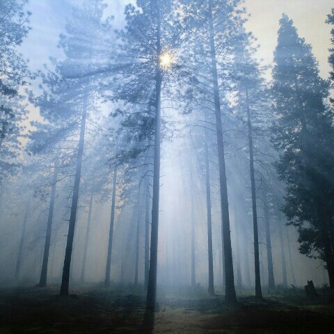 changken