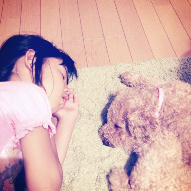 杉本　建一(セブン☆'s)