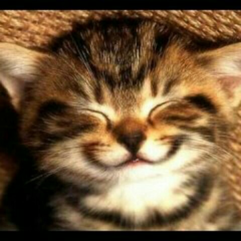 レジェンド/shosuke