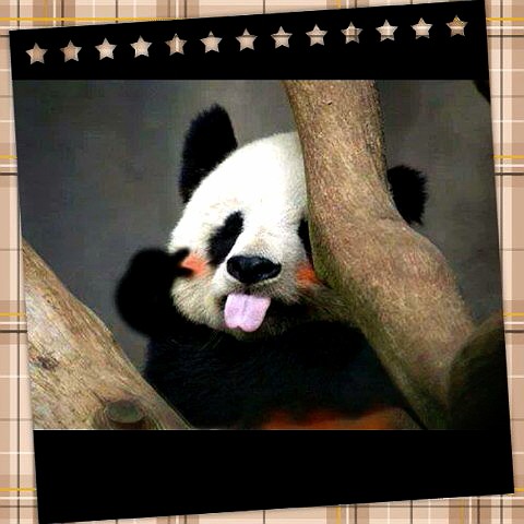 💫✨🚴源🇹🇼✨💫的頭像