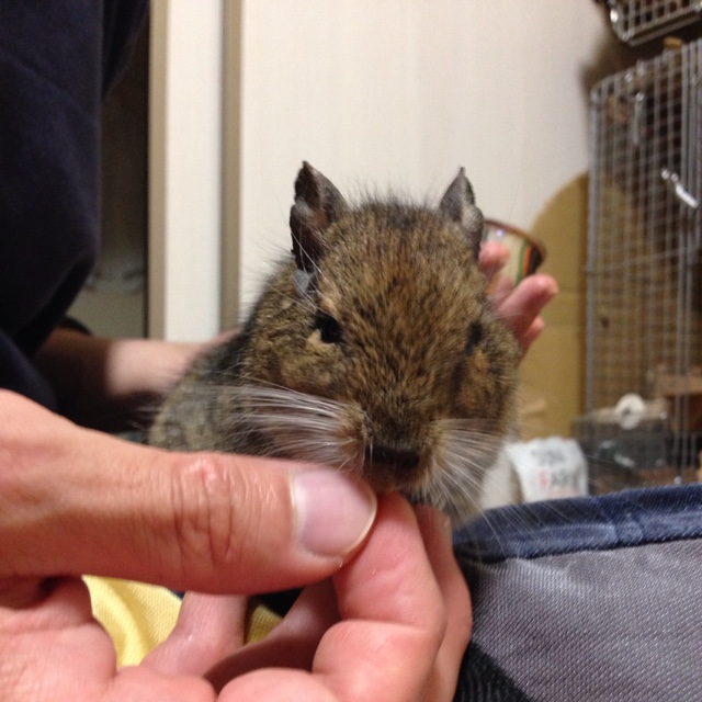 みやざきさとし