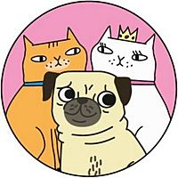 Show profile photo