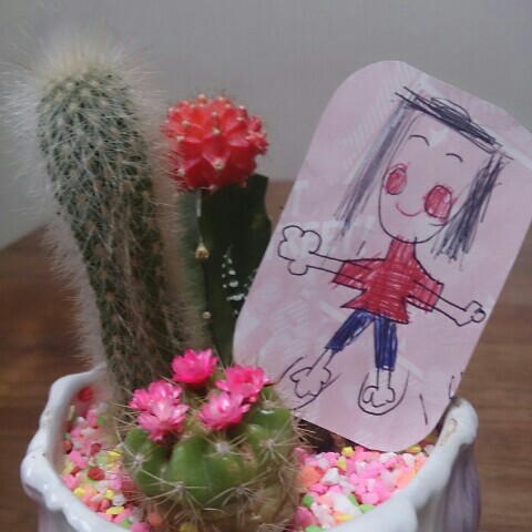 よっちゃん