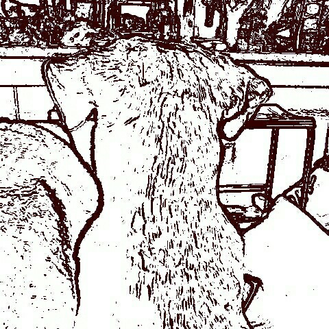 口コミの詳細 ととやむらた 青山 和食 日本料理 By Line Place