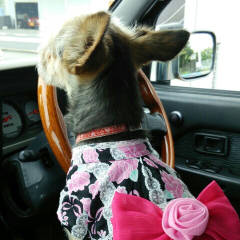 ひでみ(田中秀美)