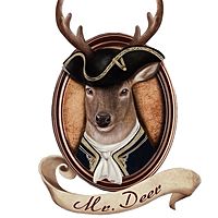 Show profile photo