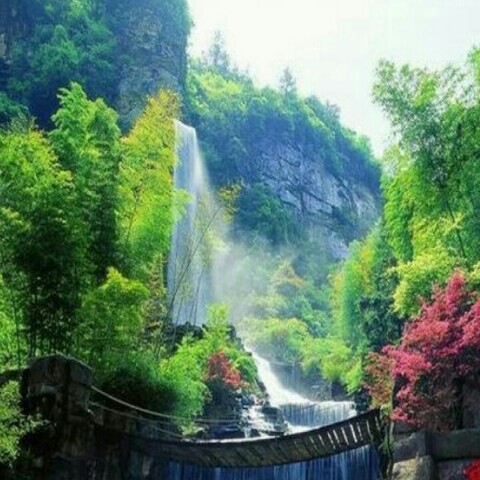 Spring Yang的頭像