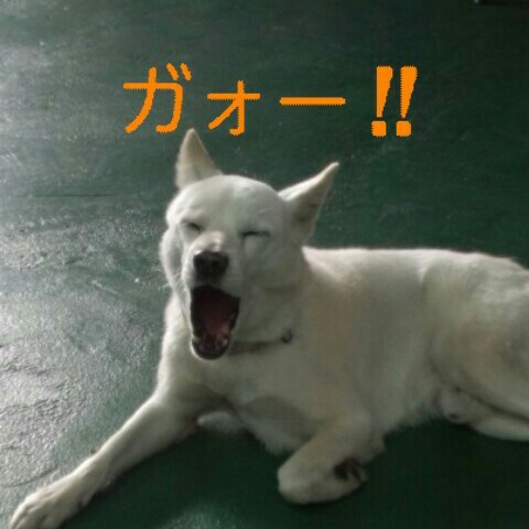 ＊*みっチョ*＊