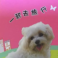 Show profile photo